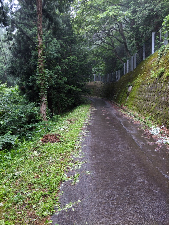 road to observation deck.jpg