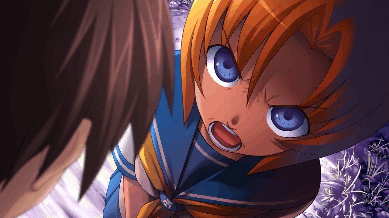 sui preview1.jpg